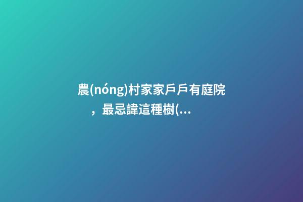 農(nóng)村家家戶戶有庭院，最忌諱這種樹(shù)，壞風(fēng)水！你家種了嗎